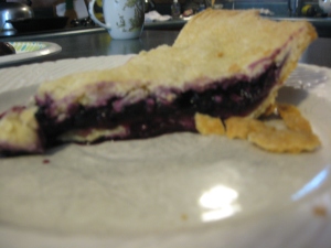 blueberry_pie_slice
